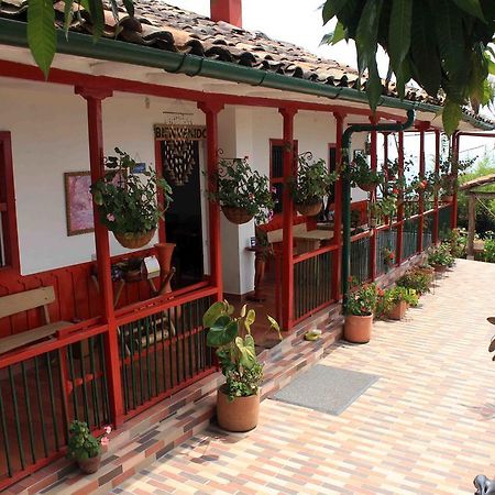 Eco Lodge La Juanita La Linda エクステリア 写真