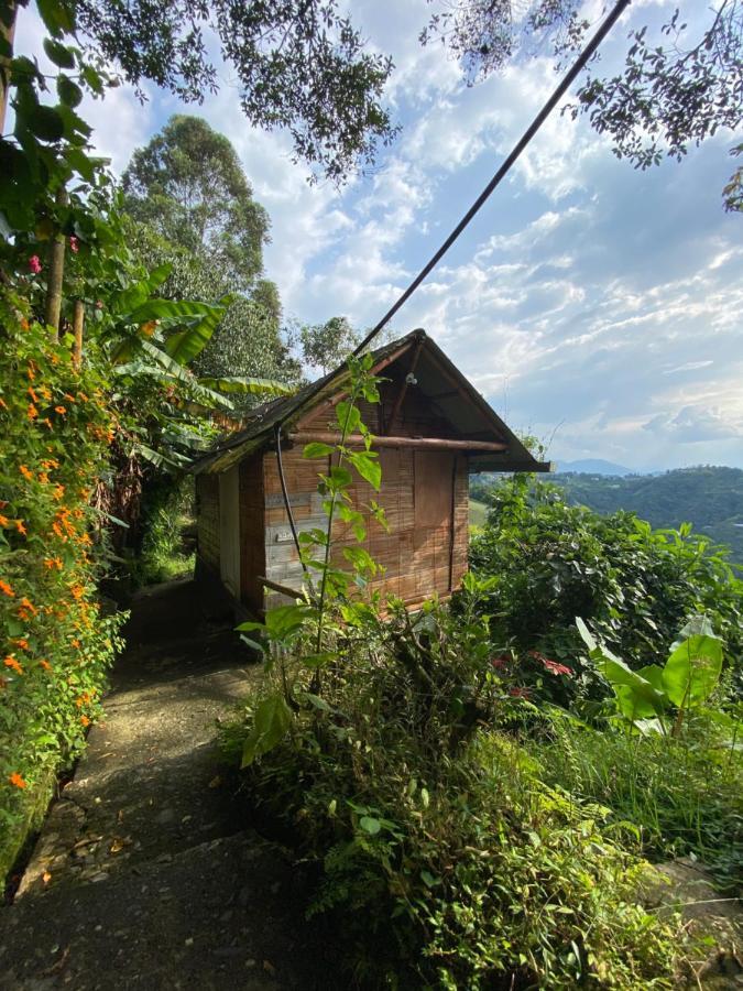 Eco Lodge La Juanita La Linda エクステリア 写真