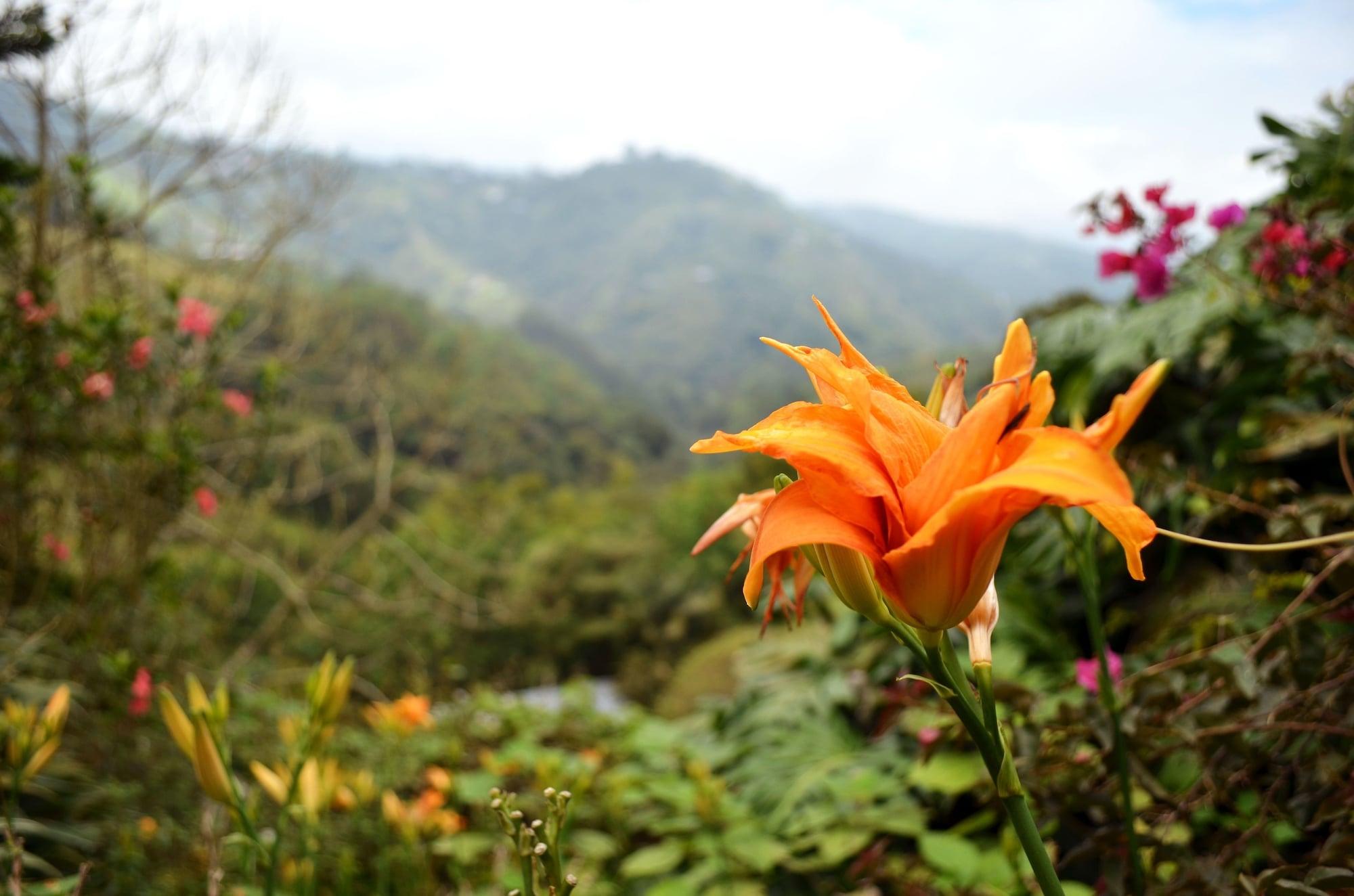 Eco Lodge La Juanita La Linda エクステリア 写真