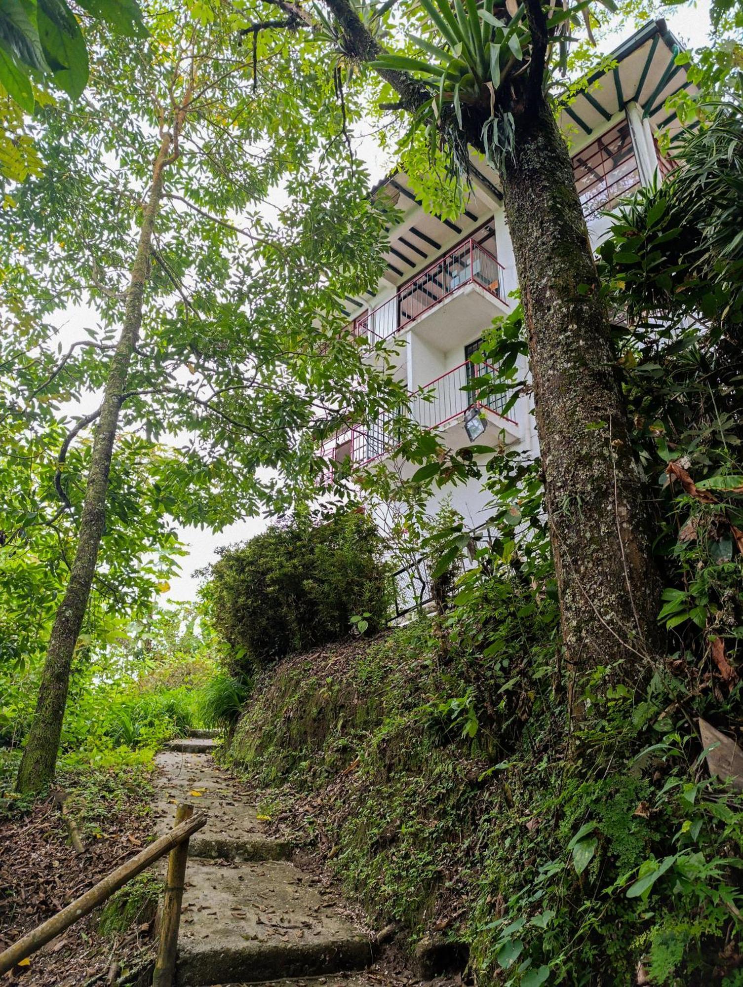 Eco Lodge La Juanita La Linda エクステリア 写真