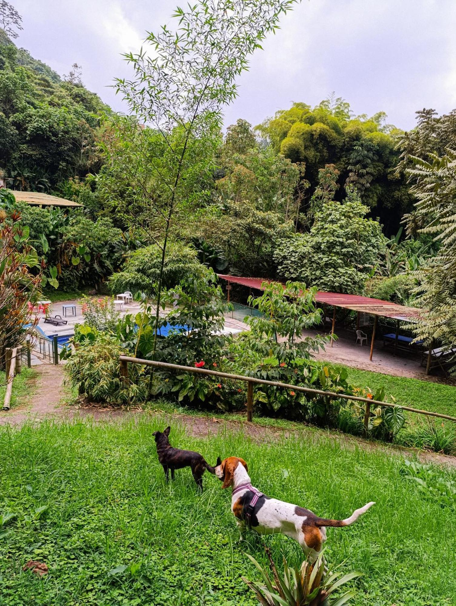 Eco Lodge La Juanita La Linda エクステリア 写真
