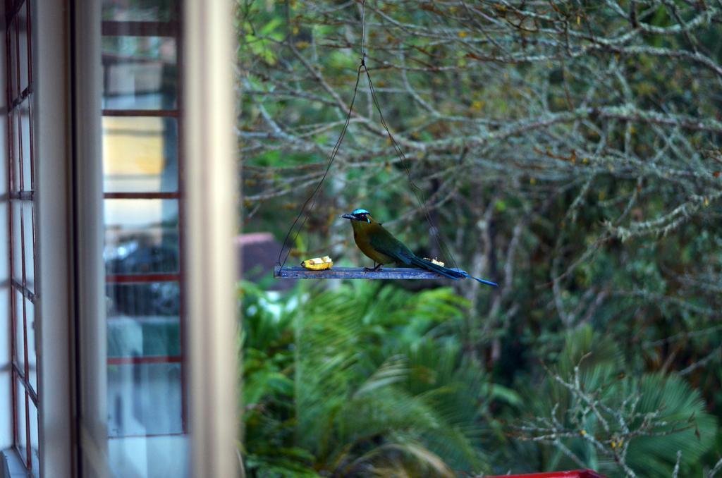Eco Lodge La Juanita La Linda エクステリア 写真