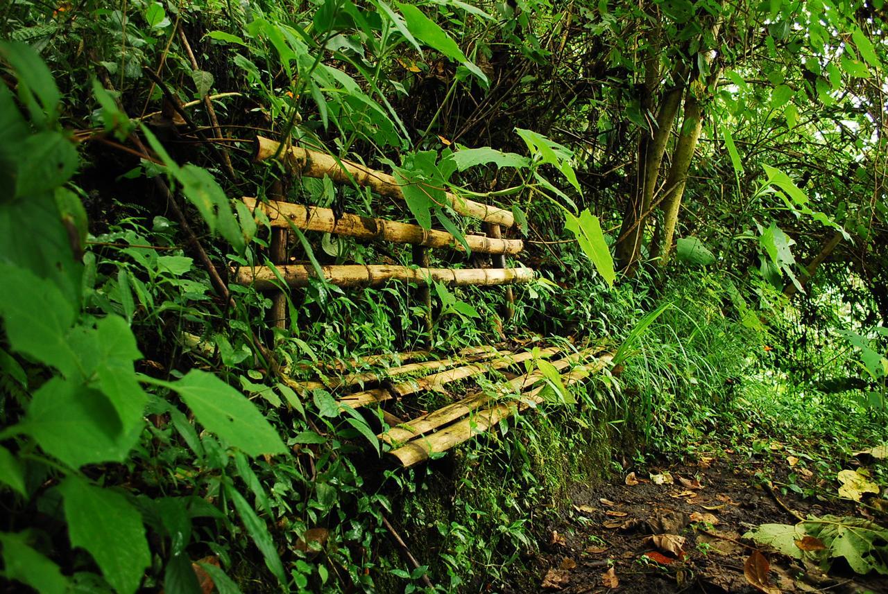 Eco Lodge La Juanita La Linda エクステリア 写真