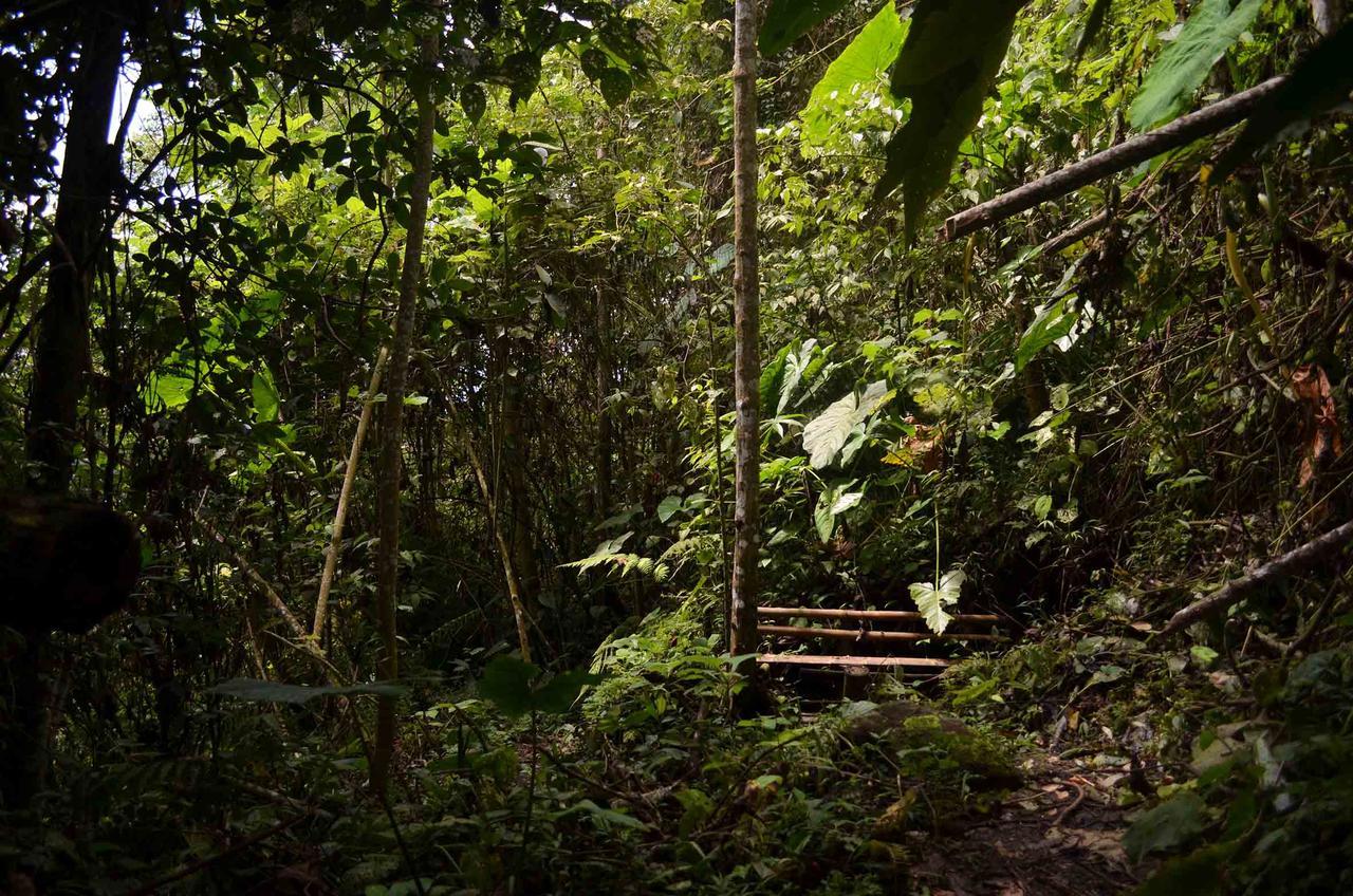 Eco Lodge La Juanita La Linda エクステリア 写真
