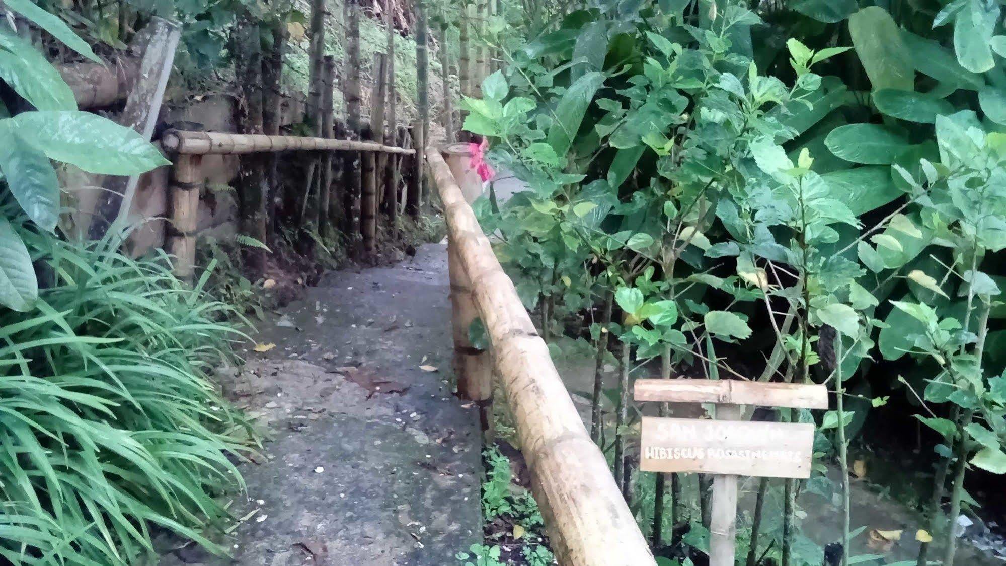 Eco Lodge La Juanita La Linda エクステリア 写真